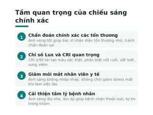 Tầm quan trọng của chiếu sáng chính xác